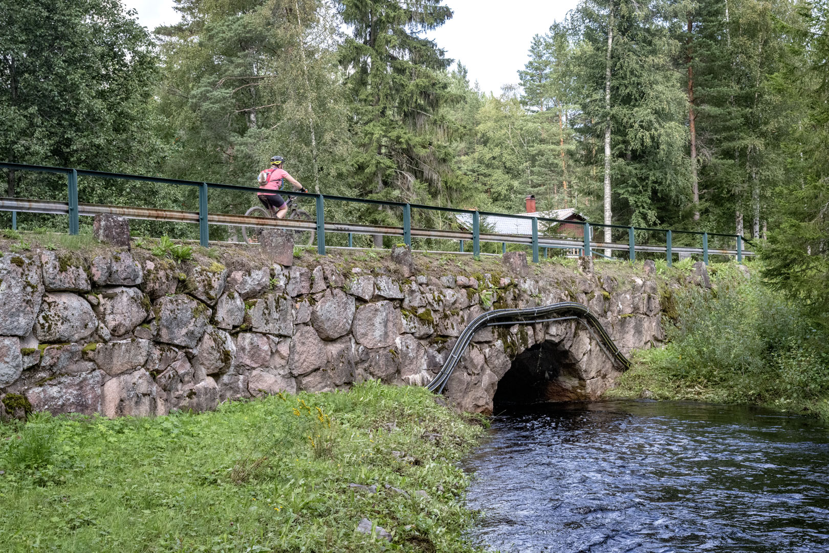 Risberg – Cykelvasan 90 2024