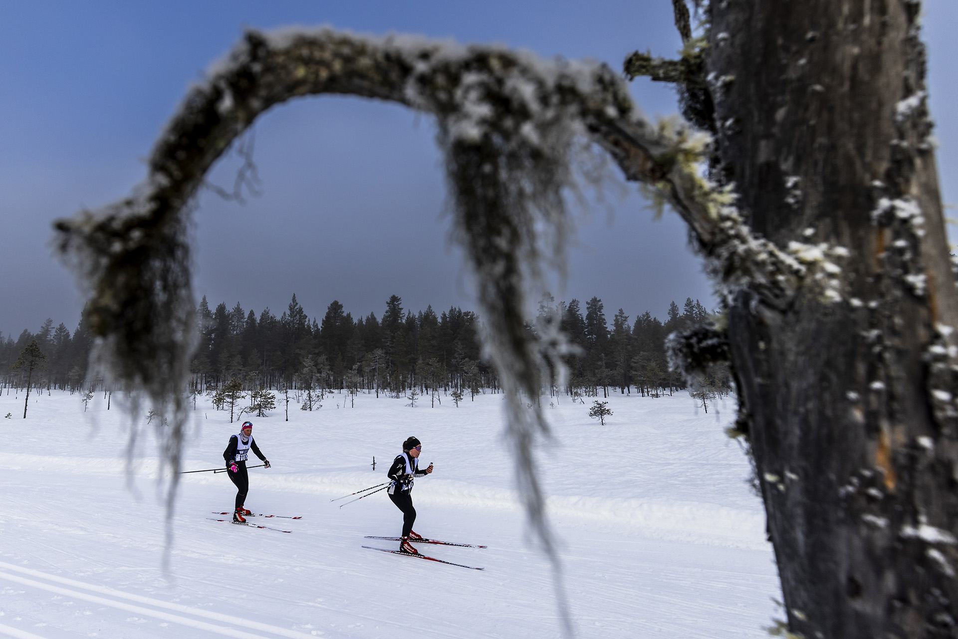 Mångsbodarna – Öppet Spår måndag 2025