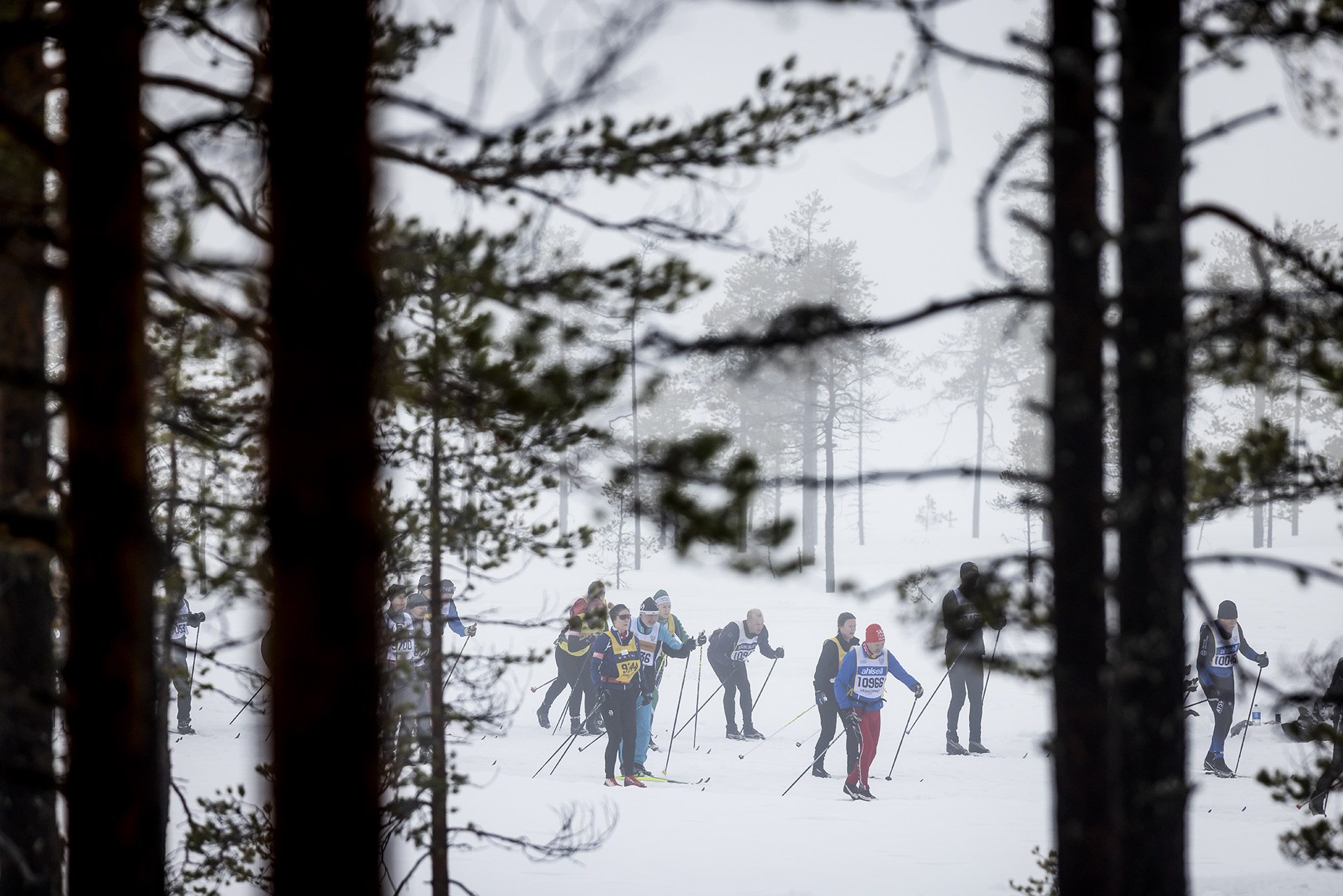 Mångsbodarna – Öppet Spår söndag 2025