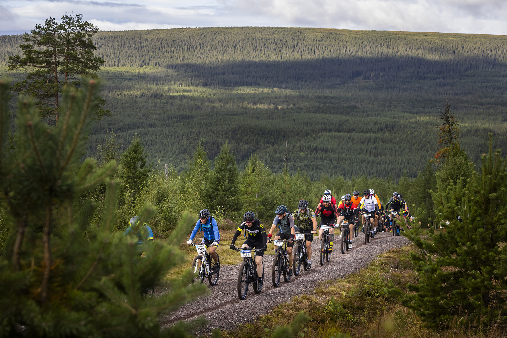 Smågan – Cykelvasan 90 2025