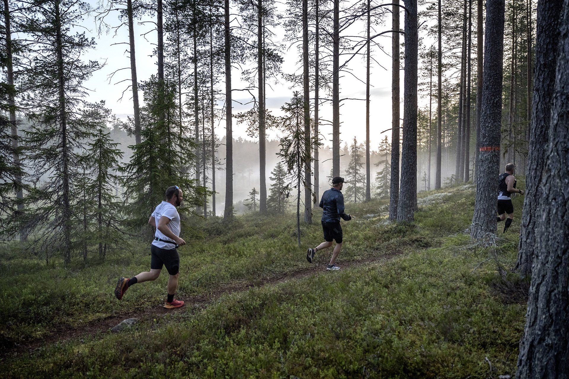 Smågan – Ultravasan 90 och Vasastafetten 2025