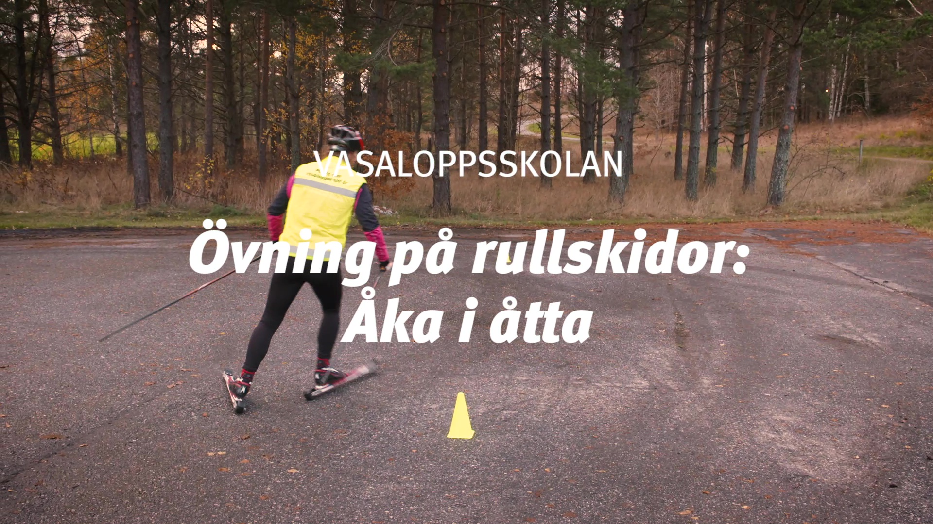 Rullskidor 8/11
